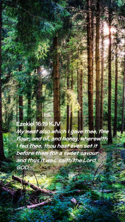 Picture 02 - Ezekiel 16:19 KJV Mobile Phone Wallpaper - My meat also which I gave thee, fine flour, and - Mobile Bible Verse Wallpaper