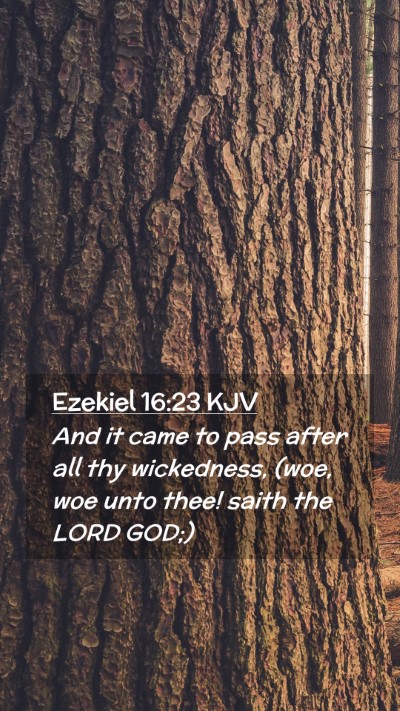 Picture 02 - Ezekiel 16:23 KJV Mobile Phone Wallpaper - And it came to pass after all thy wickedness, - Mobile Bible Verse Wallpaper