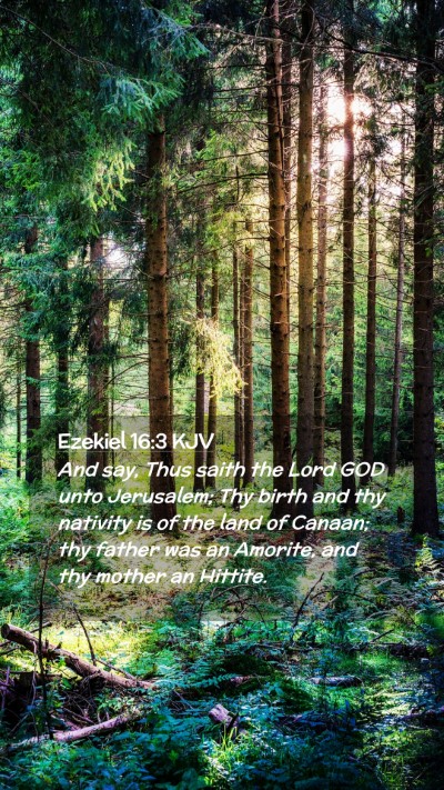 Picture 02 - Ezekiel 16:3 KJV Mobile Phone Wallpaper - And say, Thus saith the Lord GOD unto Jerusalem; - Mobile Bible Verse Wallpaper