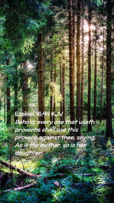 Picture 02 - Ezekiel 16:44 KJV Mobile Phone Wallpaper - Behold, every one that useth proverbs shall use - Mobile Bible Verse Wallpaper