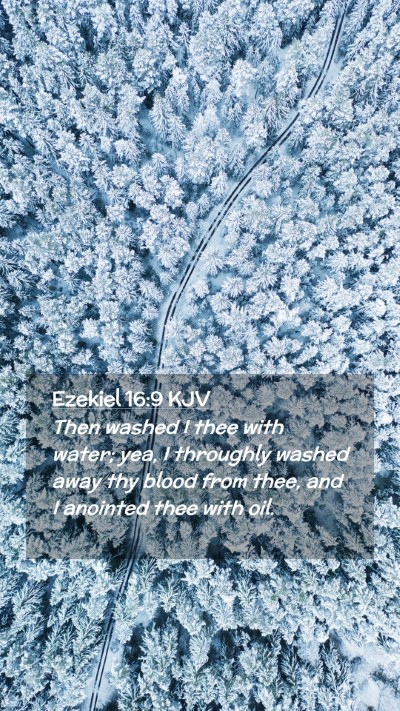 Picture 02 - Ezekiel 16:9 KJV Mobile Phone Wallpaper - Then washed I thee with water; yea, I throughly - Mobile Bible Verse Wallpaper