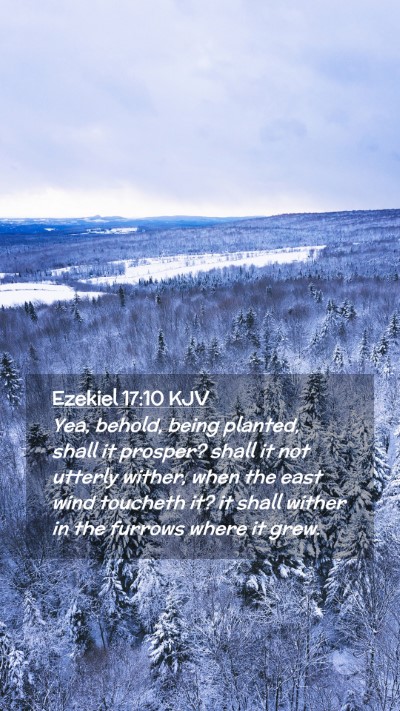 Picture 02 - Ezekiel 17:10 KJV Mobile Phone Wallpaper - Yea, behold, being planted, shall it prosper? - Mobile Bible Verse Wallpaper