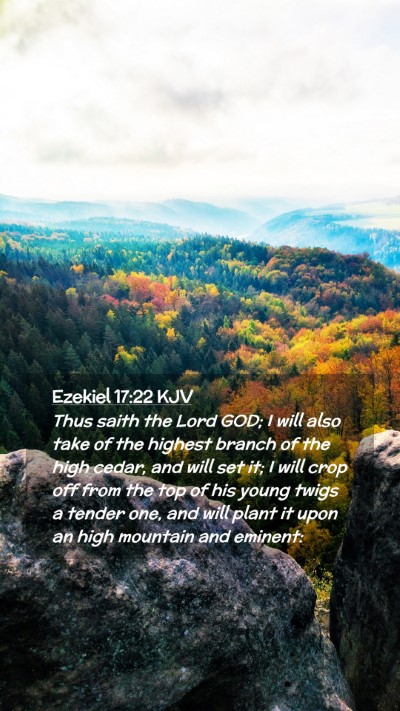 Picture 02 - Ezekiel 17:22 KJV Mobile Phone Wallpaper - Thus saith the Lord GOD; I will also take of the - Mobile Bible Verse Wallpaper