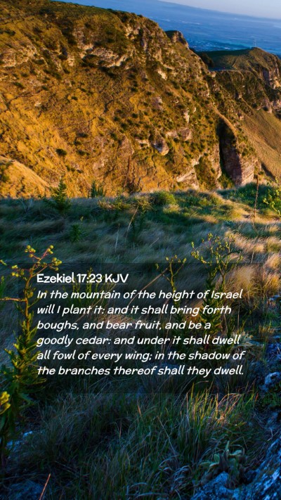 Picture 02 - Ezekiel 17:23 KJV Mobile Phone Wallpaper - In the mountain of the height of Israel will I - Mobile Bible Verse Wallpaper