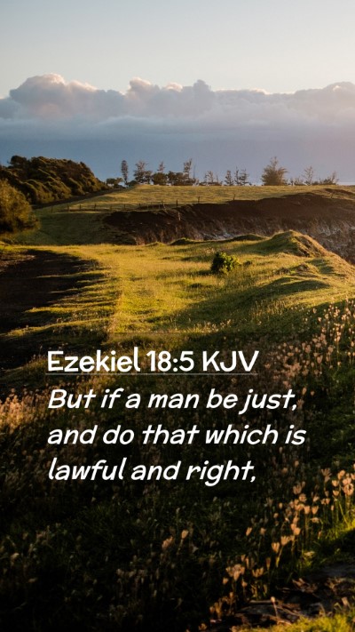 Picture 02 - Ezekiel 18:5 KJV Mobile Phone Wallpaper - But if a man be just, and do that which is lawful - Mobile Bible Verse Wallpaper