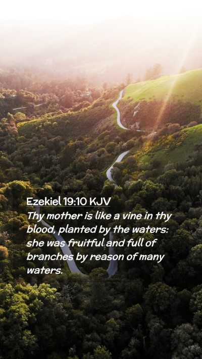 Picture 02 - Ezekiel 19:10 KJV Mobile Phone Wallpaper - Thy mother is like a vine in thy blood, planted - Mobile Bible Verse Wallpaper