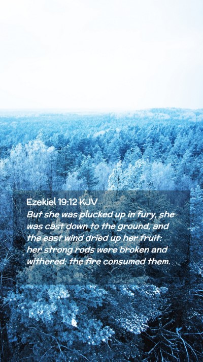 Picture 02 - Ezekiel 19:12 KJV Mobile Phone Wallpaper - But she was plucked up in fury, she was cast down - Mobile Bible Verse Wallpaper