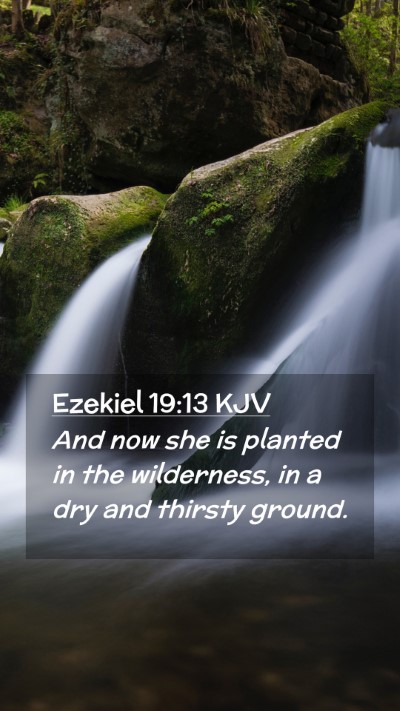 Picture 02 - Ezekiel 19:13 KJV Mobile Phone Wallpaper - And now she is planted in the wilderness, in a - Mobile Bible Verse Wallpaper