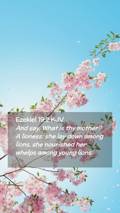 Picture 02 - Ezekiel 19:2 KJV Mobile Phone Wallpaper - And say, What is thy mother? A lioness: she lay - Mobile Bible Verse Wallpaper