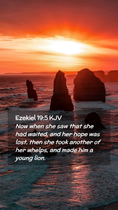Picture 02 - Ezekiel 19:5 KJV Mobile Phone Wallpaper - Now when she saw that she had waited, and her - Mobile Bible Verse Wallpaper
