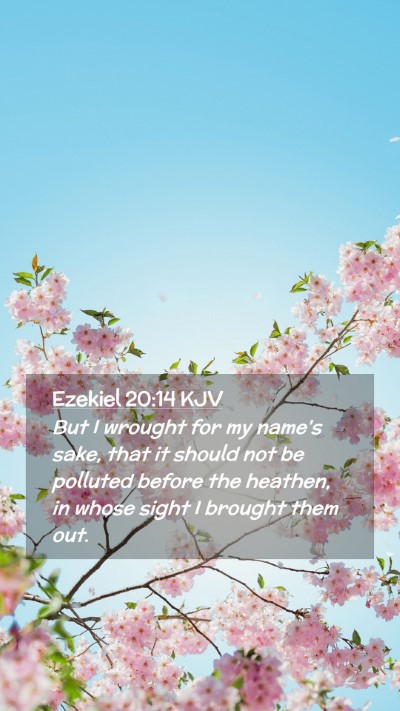 Picture 02 - Ezekiel 20:14 KJV Mobile Phone Wallpaper - But I wrought for my name's sake, that it should - Mobile Bible Verse Wallpaper