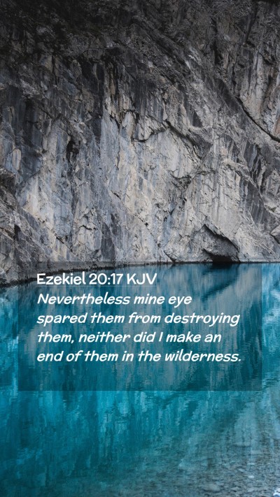 Picture 02 - Ezekiel 20:17 KJV Mobile Phone Wallpaper - Nevertheless mine eye spared them from destroying - Mobile Bible Verse Wallpaper