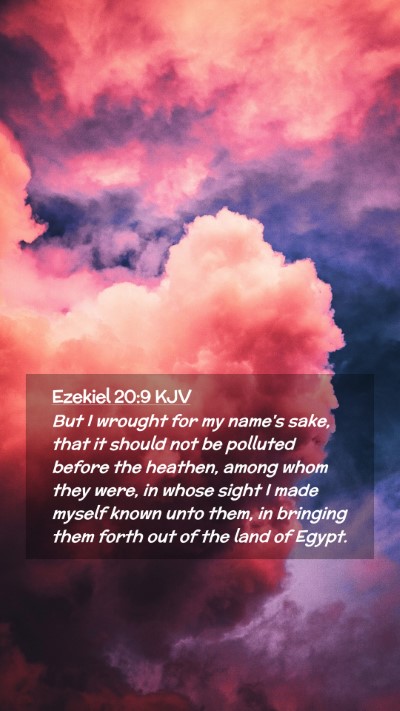 Picture 02 - Ezekiel 20:9 KJV Mobile Phone Wallpaper - But I wrought for my name's sake, that it should - Mobile Bible Verse Wallpaper