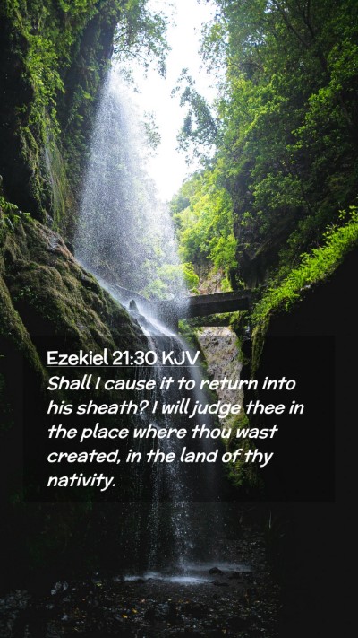 Picture 02 - Ezekiel 21:30 KJV Mobile Phone Wallpaper - Shall I cause it to return into his sheath? I - Mobile Bible Verse Wallpaper