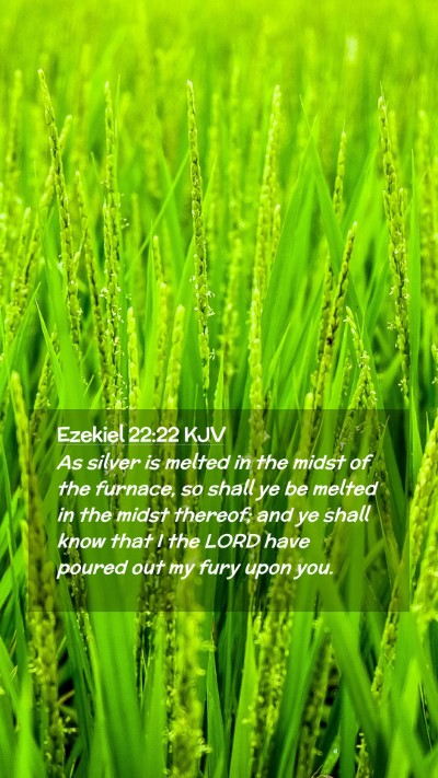 Picture 02 - Ezekiel 22:22 KJV Mobile Phone Wallpaper - As silver is melted in the midst of the furnace, - Mobile Bible Verse Wallpaper
