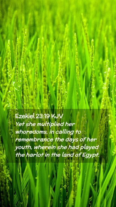 Picture 02 - Ezekiel 23:19 KJV Mobile Phone Wallpaper - Yet she multiplied her whoredoms, in calling to - Mobile Bible Verse Wallpaper