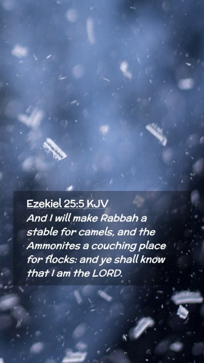 Picture 02 - Ezekiel 25:5 KJV Mobile Phone Wallpaper - And I will make Rabbah a stable for camels, and - Mobile Bible Verse Wallpaper