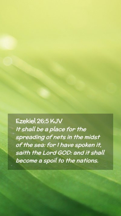 Picture 02 - Ezekiel 26:5 KJV Mobile Phone Wallpaper - It shall be a place for the spreading of nets in - Mobile Bible Verse Wallpaper