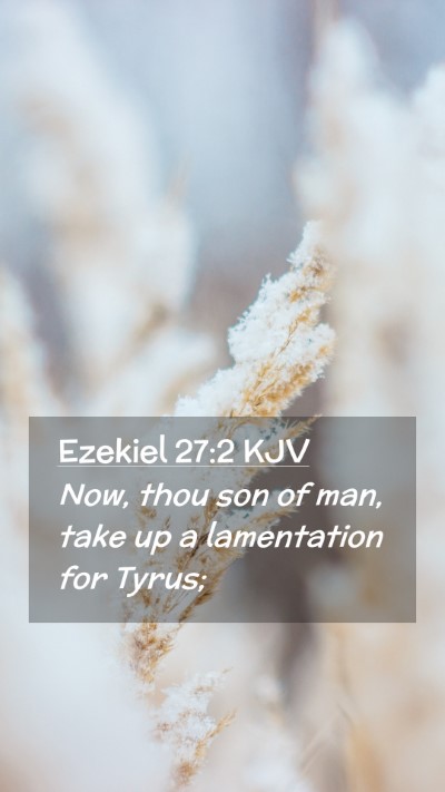 Picture 02 - Ezekiel 27:2 KJV Mobile Phone Wallpaper - Now, thou son of man, take up a lamentation for - Mobile Bible Verse Wallpaper