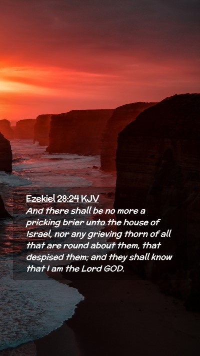 Picture 02 - Ezekiel 28:24 KJV Mobile Phone Wallpaper - And there shall be no more a pricking brier unto - Mobile Bible Verse Wallpaper