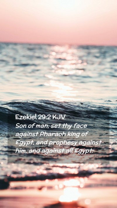 Picture 02 - Ezekiel 29:2 KJV Mobile Phone Wallpaper - Son of man, set thy face against Pharaoh king of - Mobile Bible Verse Wallpaper