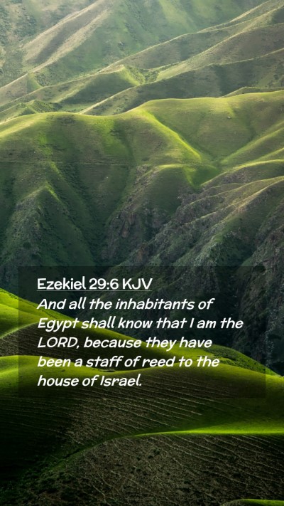 Picture 02 - Ezekiel 29:6 KJV Mobile Phone Wallpaper - And all the inhabitants of Egypt shall know that - Mobile Bible Verse Wallpaper