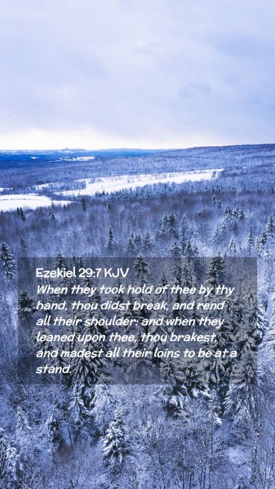 Picture 02 - Ezekiel 29:7 KJV Mobile Phone Wallpaper - When they took hold of thee by thy hand, thou - Mobile Bible Verse Wallpaper