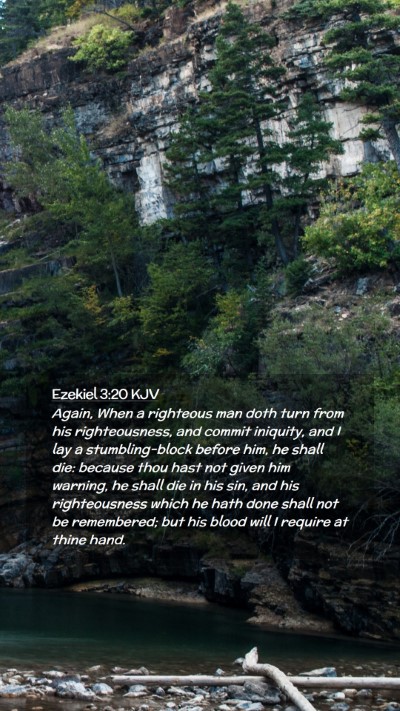 Picture 02 - Ezekiel 3:20 KJV Mobile Phone Wallpaper - Again, When a righteous man doth turn from his - Mobile Bible Verse Wallpaper