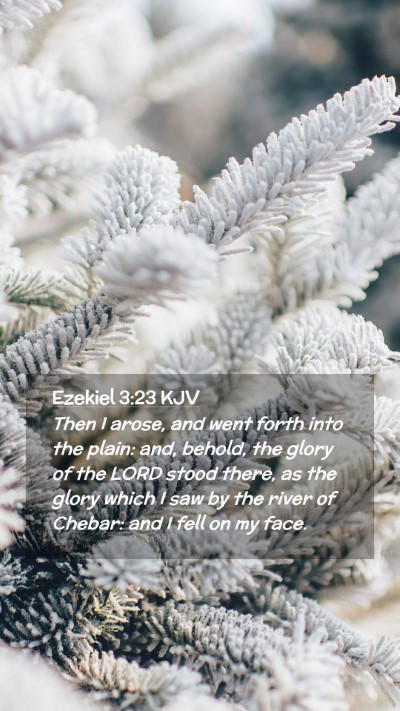 Picture 02 - Ezekiel 3:23 KJV Mobile Phone Wallpaper - Then I arose, and went forth into the plain: and, - Mobile Bible Verse Wallpaper