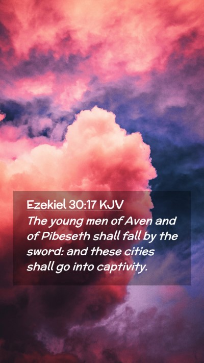 Picture 02 - Ezekiel 30:17 KJV Mobile Phone Wallpaper - The young men of Aven and of Pibeseth shall fall - Mobile Bible Verse Wallpaper