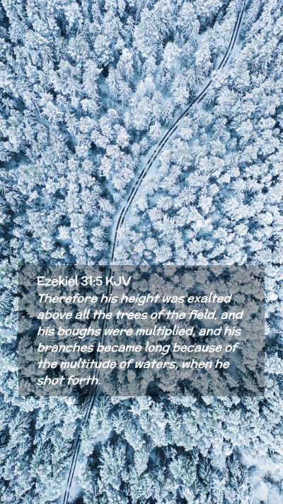 Picture 02 - Ezekiel 31:5 KJV Mobile Phone Wallpaper - Therefore his height was exalted above all the - Mobile Bible Verse Wallpaper