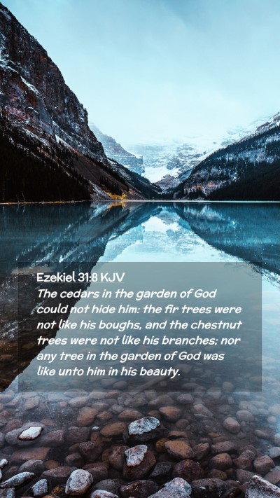 Picture 02 - Ezekiel 31:8 KJV Mobile Phone Wallpaper - The cedars in the garden of God could not hide - Mobile Bible Verse Wallpaper