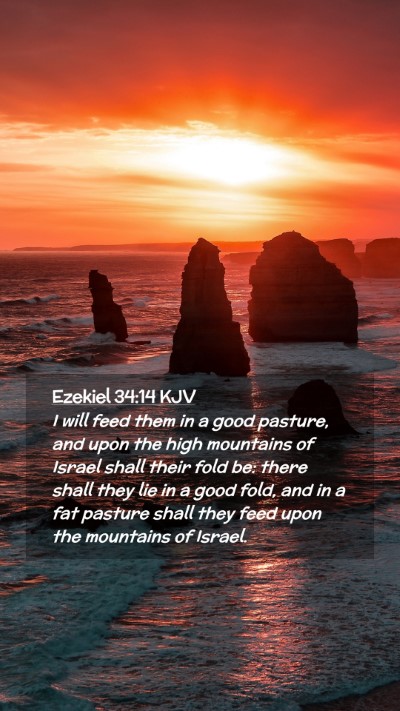 Picture 02 - Ezekiel 34:14 KJV Mobile Phone Wallpaper - I will feed them in a good pasture, and upon the - Mobile Bible Verse Wallpaper
