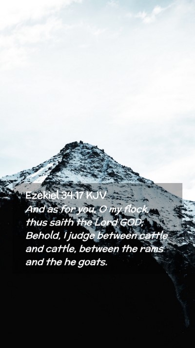 Picture 02 - Ezekiel 34:17 KJV Mobile Phone Wallpaper - And as for you, O my flock, thus saith the Lord - Mobile Bible Verse Wallpaper