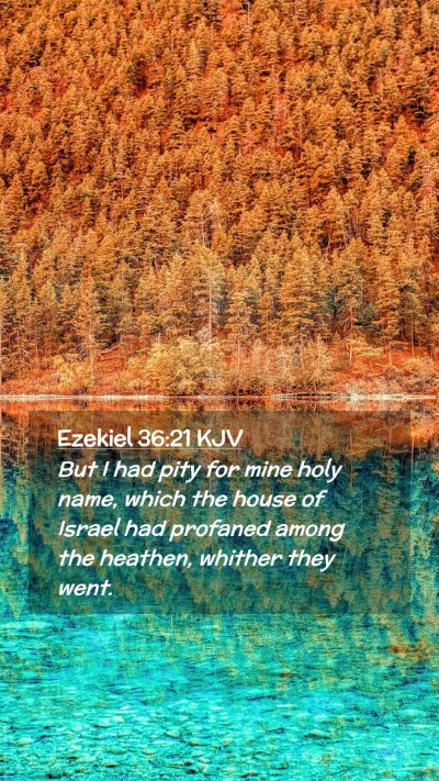 Picture 02 - Ezekiel 36:21 KJV Mobile Phone Wallpaper - But I had pity for mine holy name, which the - Mobile Bible Verse Wallpaper