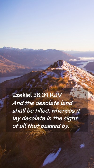 Picture 02 - Ezekiel 36:34 KJV Mobile Phone Wallpaper - And the desolate land shall be tilled, whereas it - Mobile Bible Verse Wallpaper