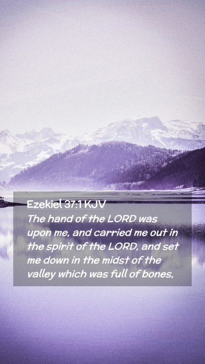 Picture 02 - Ezekiel 37:1 KJV Mobile Phone Wallpaper - The hand of the LORD was upon me, and carried me - Mobile Bible Verse Wallpaper