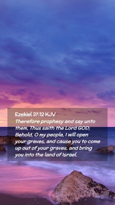 Picture 02 - Ezekiel 37:12 KJV Mobile Phone Wallpaper - Therefore prophesy and say unto them, Thus saith - Mobile Bible Verse Wallpaper