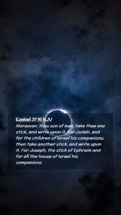 Picture 02 - Ezekiel 37:16 KJV Mobile Phone Wallpaper - Moreover, thou son of man, take thee one stick, - Mobile Bible Verse Wallpaper