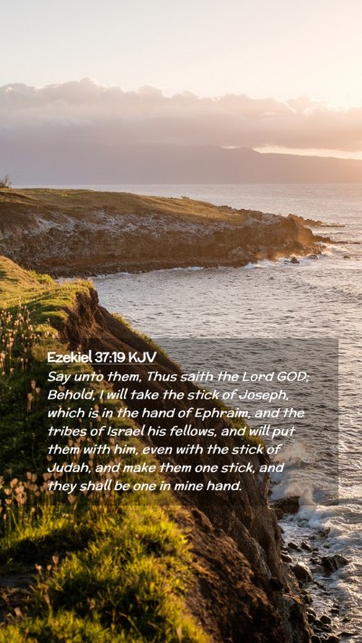 Picture 02 - Ezekiel 37:19 KJV Mobile Phone Wallpaper - Say unto them, Thus saith the Lord GOD; Behold, I - Mobile Bible Verse Wallpaper