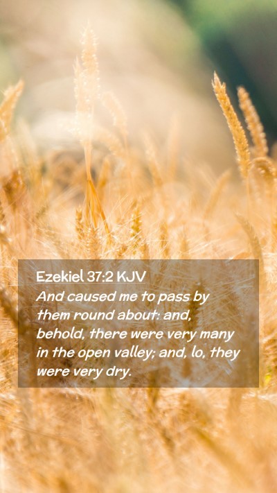 Picture 02 - Ezekiel 37:2 KJV Mobile Phone Wallpaper - And caused me to pass by them round about: and, - Mobile Bible Verse Wallpaper