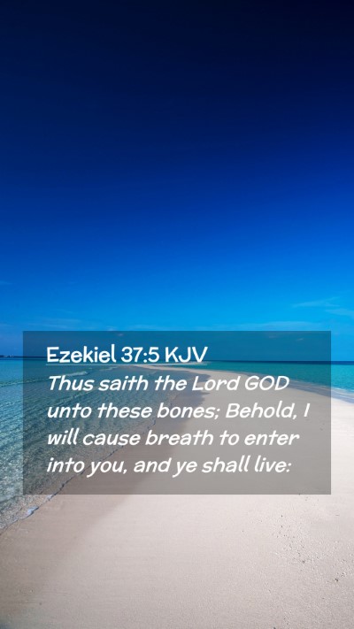 Picture 02 - Ezekiel 37:5 KJV Mobile Phone Wallpaper - Thus saith the Lord GOD unto these bones; Behold, - Mobile Bible Verse Wallpaper