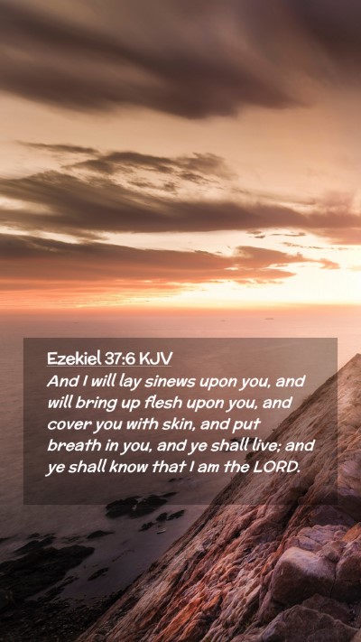 Picture 02 - Ezekiel 37:6 KJV Mobile Phone Wallpaper - And I will lay sinews upon you, and will bring up - Mobile Bible Verse Wallpaper