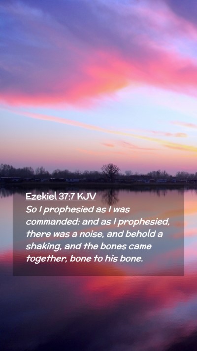 Picture 02 - Ezekiel 37:7 KJV Mobile Phone Wallpaper - So I prophesied as I was commanded: and as I - Mobile Bible Verse Wallpaper