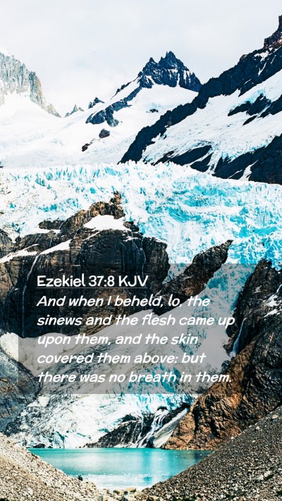 Picture 02 - Ezekiel 37:8 KJV Mobile Phone Wallpaper - And when I beheld, lo, the sinews and the flesh - Mobile Bible Verse Wallpaper
