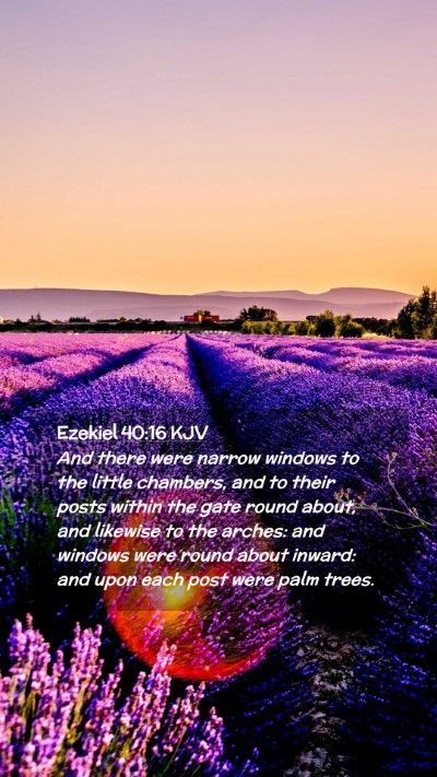Picture 02 - Ezekiel 40:16 KJV Mobile Phone Wallpaper - And there were narrow windows to the little - Mobile Bible Verse Wallpaper