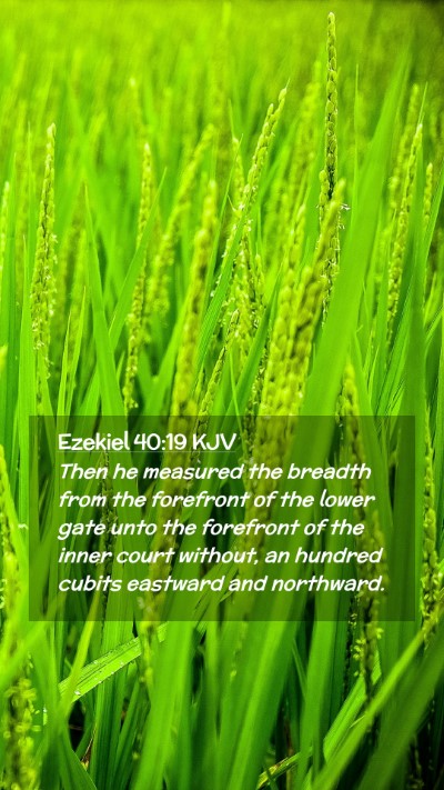 Picture 02 - Ezekiel 40:19 KJV Mobile Phone Wallpaper - Then he measured the breadth from the forefront - Mobile Bible Verse Wallpaper