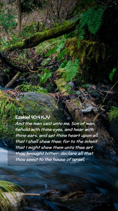 Picture 02 - Ezekiel 40:4 KJV Mobile Phone Wallpaper - And the man said unto me, Son of man, behold with - Mobile Bible Verse Wallpaper