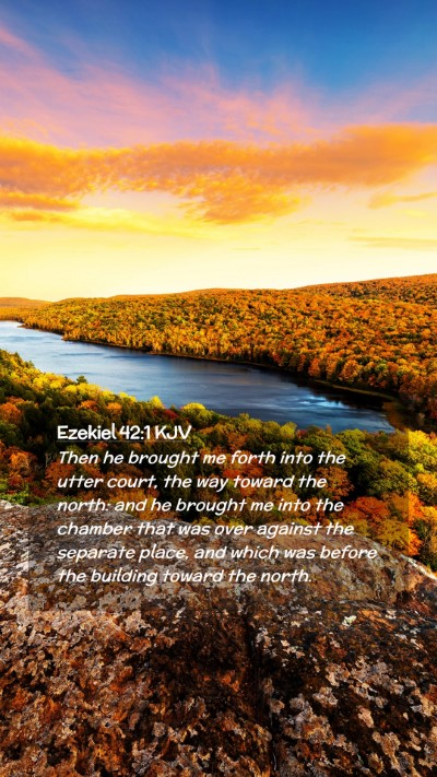 Picture 02 - Ezekiel 42:1 KJV Mobile Phone Wallpaper - Then he brought me forth into the utter court, - Mobile Bible Verse Wallpaper