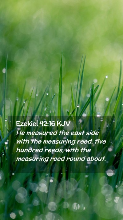 Picture 02 - Ezekiel 42:16 KJV Mobile Phone Wallpaper - He measured the east side with the measuring - Mobile Bible Verse Wallpaper